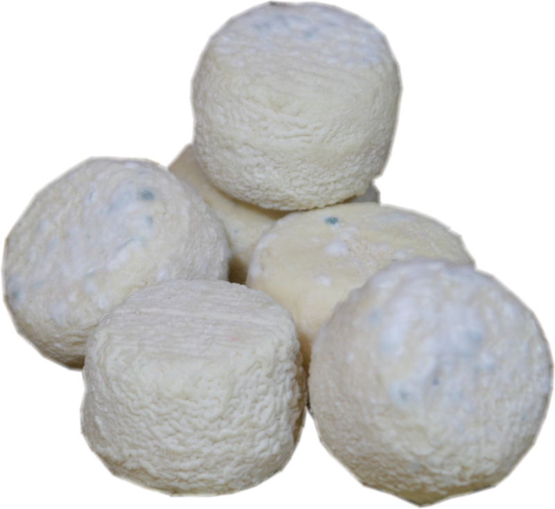 Käse Crottin de Chavignol AOP güstig online bestellen und kaufen Online Käse kaufen Crottin de Chavignol AOP jetzt bestellen