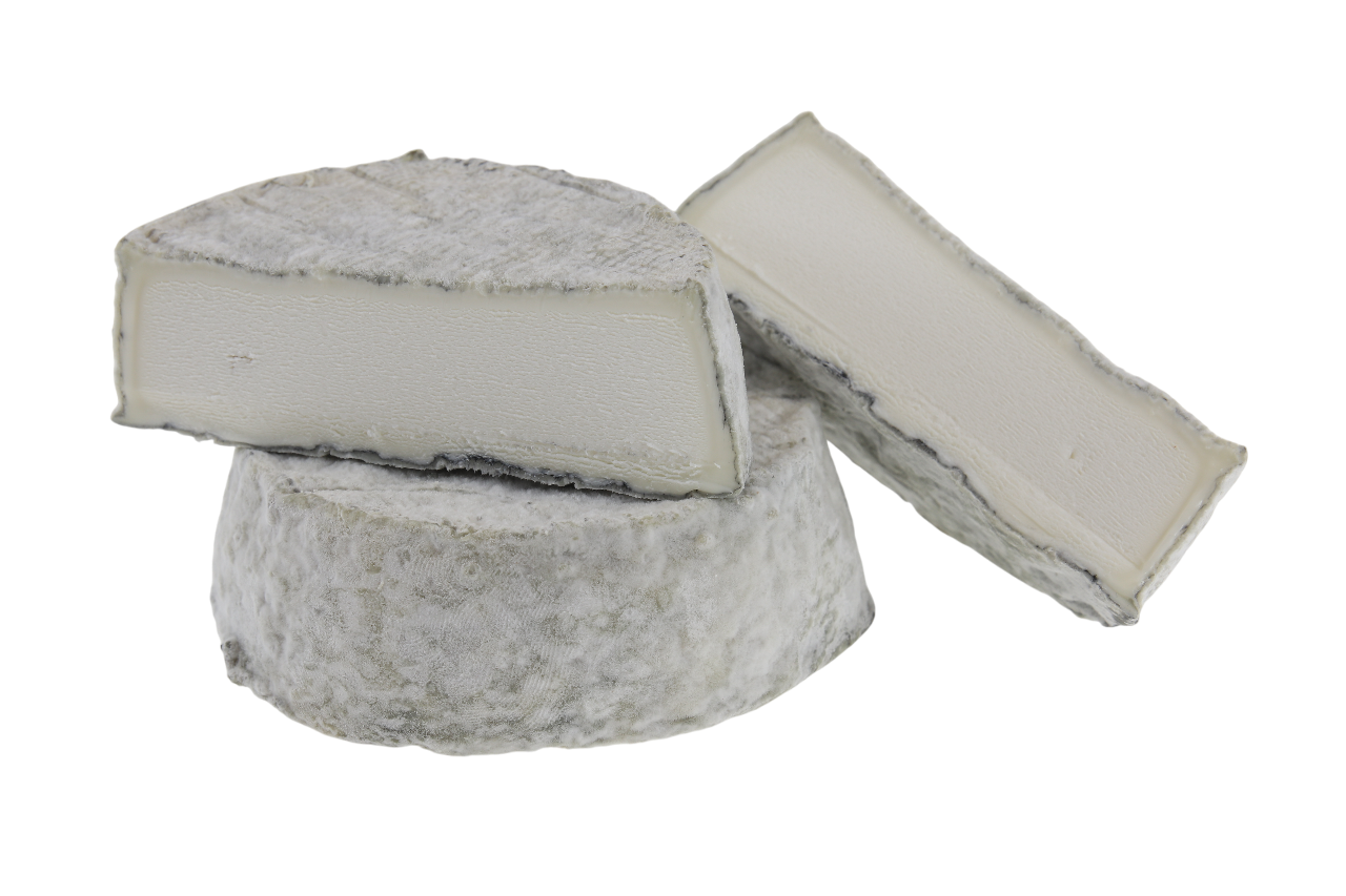 Käseversand24 Selles sur Cher AOP kaufen ziegenkäse Selles sur Cher AOP kaufen
